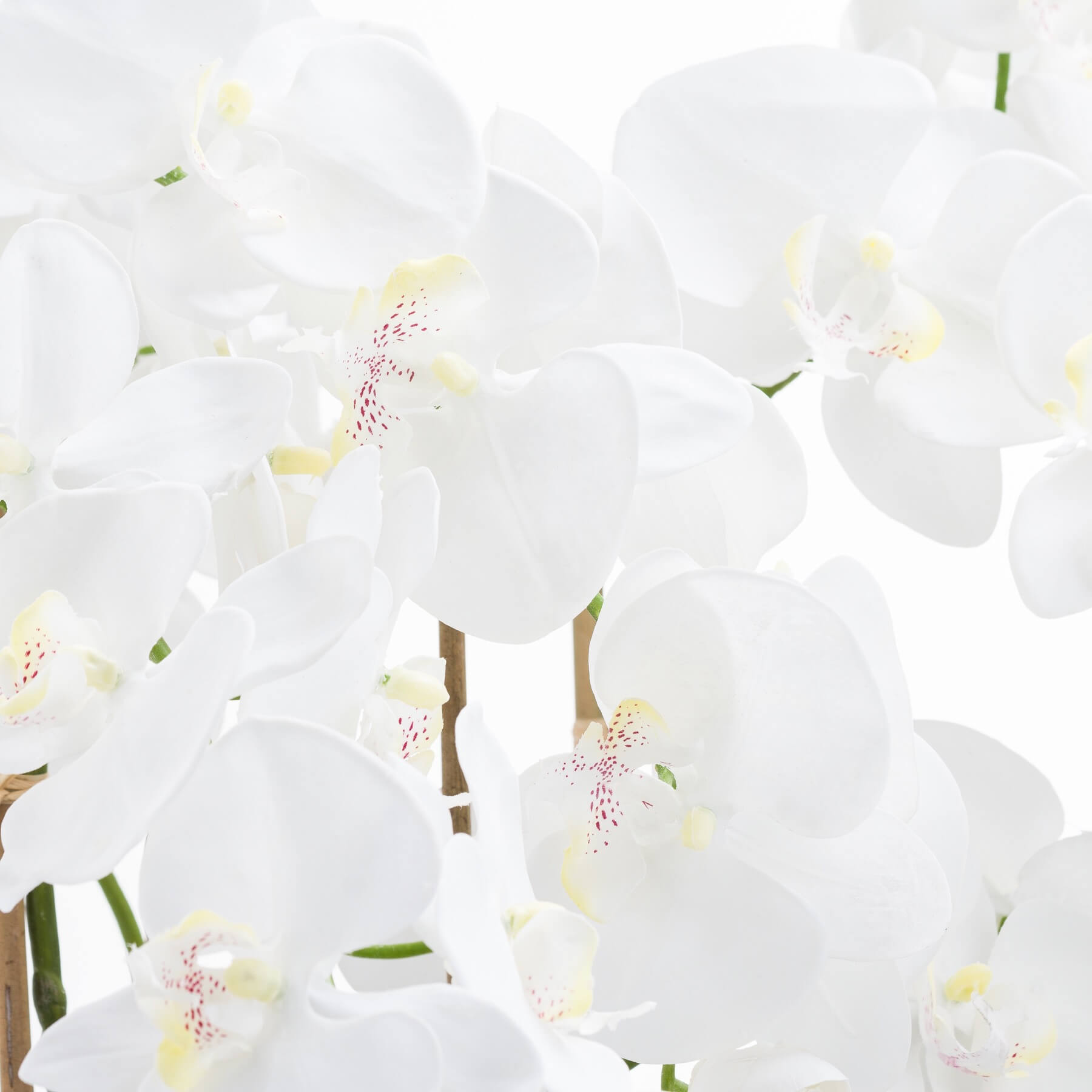White and violet artificial orchid arrangement in glass pot, hyper-realistic plastic flowers with flexible leaves for home decor by Sostter at brixbailey.com