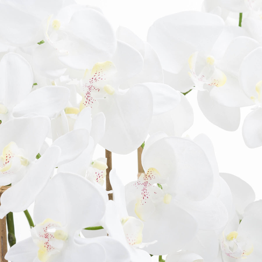 White and violet artificial orchid arrangement in glass pot, hyper-realistic plastic flowers with flexible leaves for home decor by Sostter at brixbailey.com