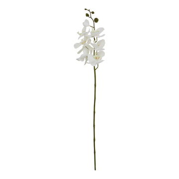 Lifelike white artificial orchid stem, 75cm tall, with delicate petals and veining for elegant home decor by Sostter at brixbailey.com