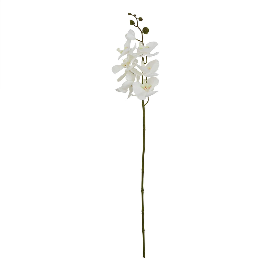 Lifelike white artificial orchid stem, 75cm tall, with delicate petals and veining for elegant home decor by Sostter at brixbailey.com