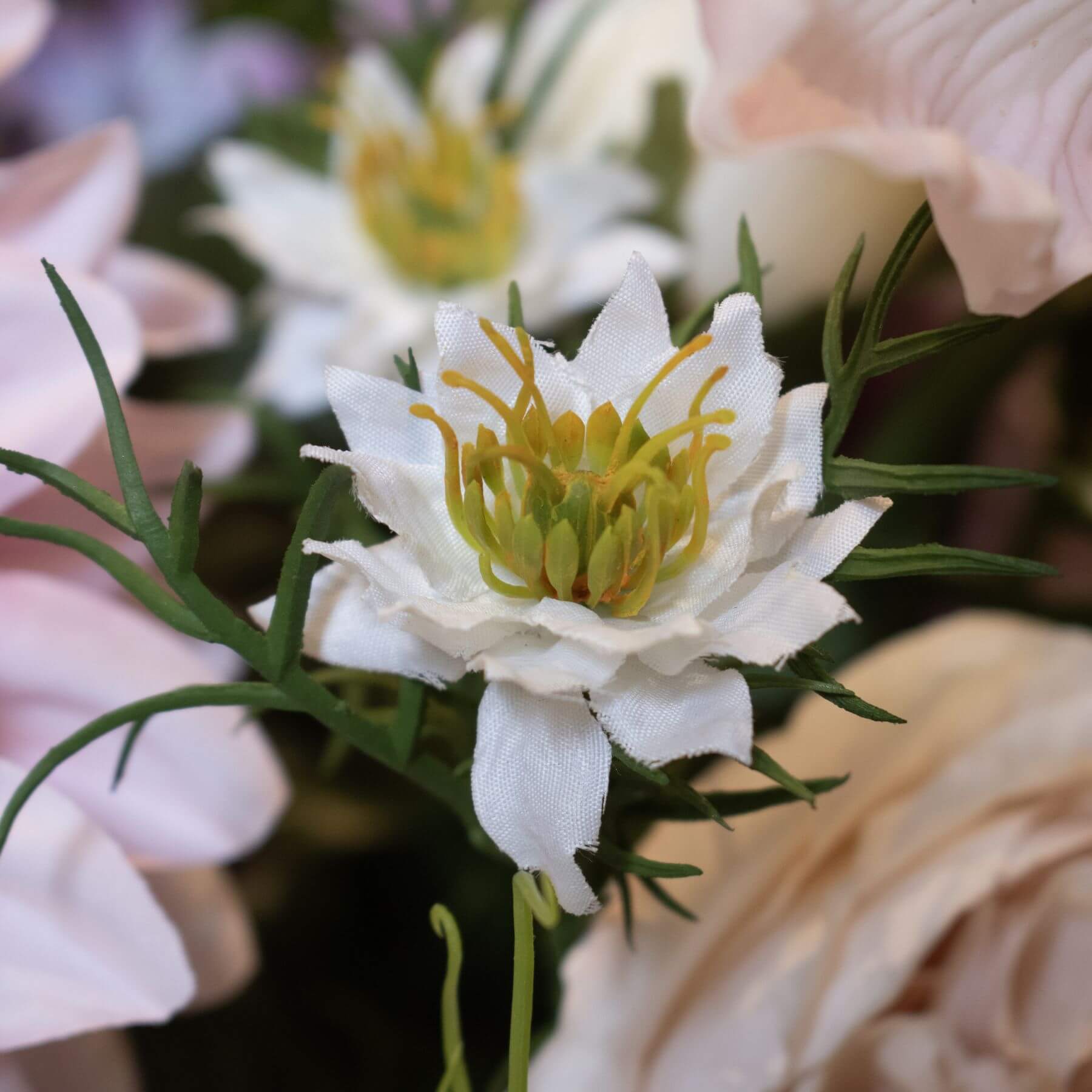 White Nigella floral stem with intricate seed pods and feathery foliage for elegant home decor or wedding arrangements. by sostter at brixbailey.com