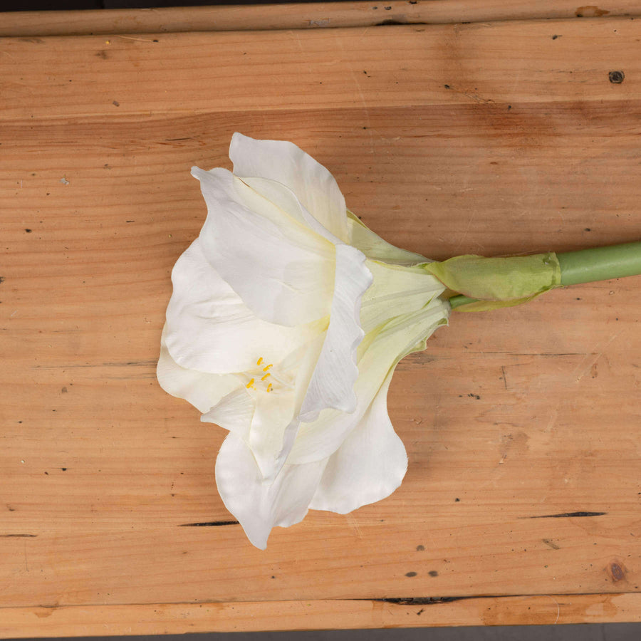 Lifelike white amaryllis artificial flowers, 81cm tall with 2 blooms and 1 bud, durable plastic for lasting elegance by Sostter at brixbailey.com