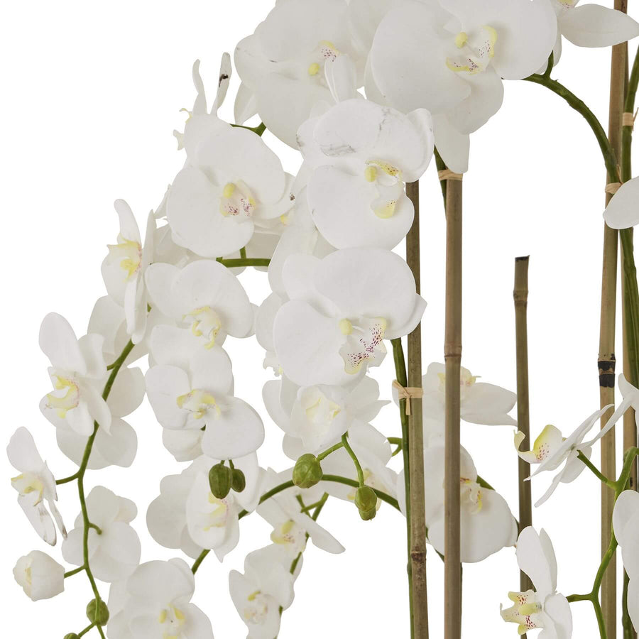 5ft white artificial orchid in distressed stone pot, lifelike blooms and green leaves, elegant home decor centerpiece by Sostter at brixbailey.com