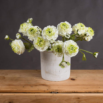 Green ranunculus spray with ultra-realistic plastic blooms, natural green color, 44 cm tall, for home decor or weddings by Sostter at brixbailey.com