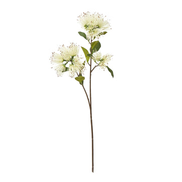 Cream Protea Nitida spray artificial flowers, lifelike ivory blooms with green foliage, 25.6-inch floral decor accent by Sostter at brixbailey.com