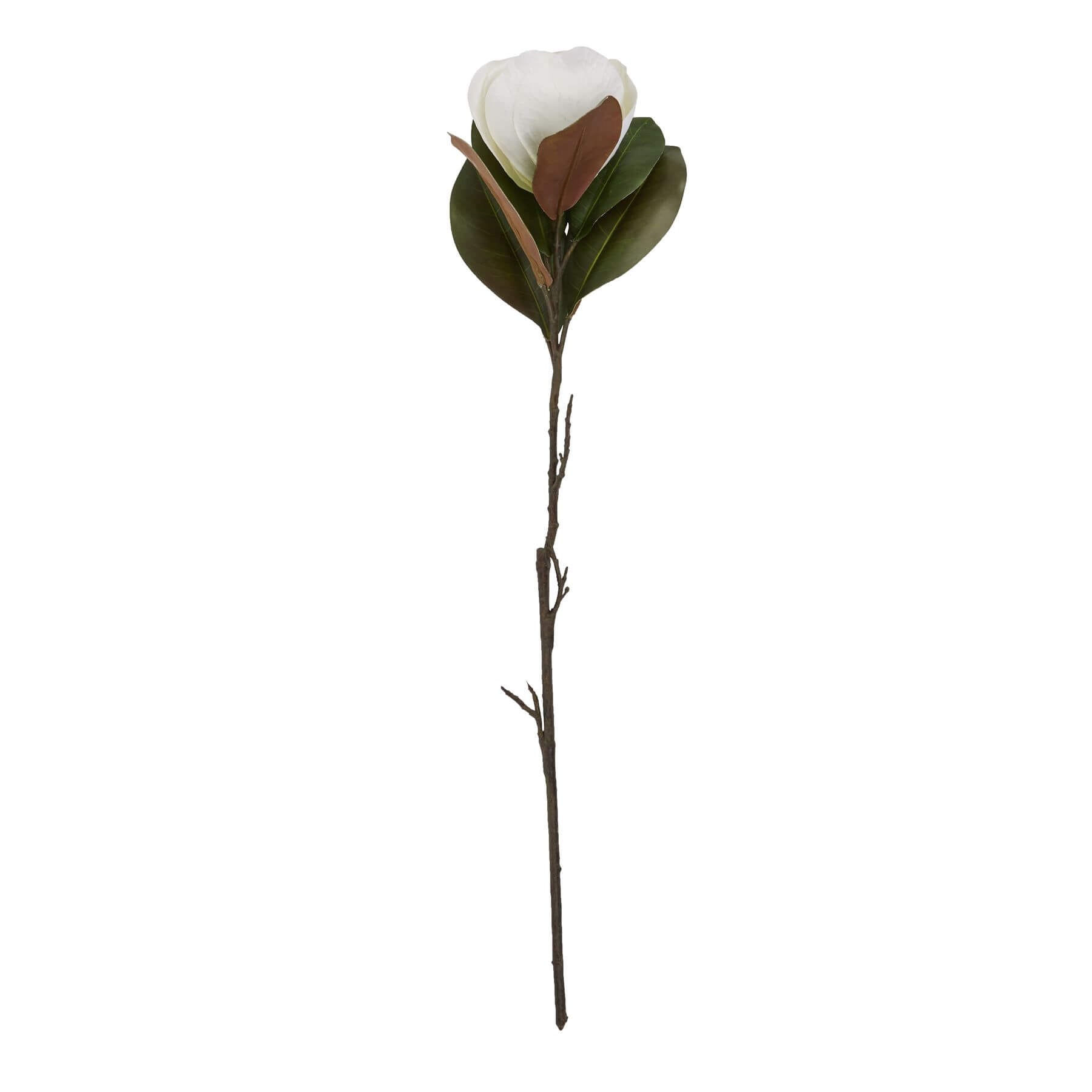 White magnolia artificial stem with lifelike petals, premium plastic, 78 cm tall for elegant home decor arrangements by RoomLondon at brixbailey.com
