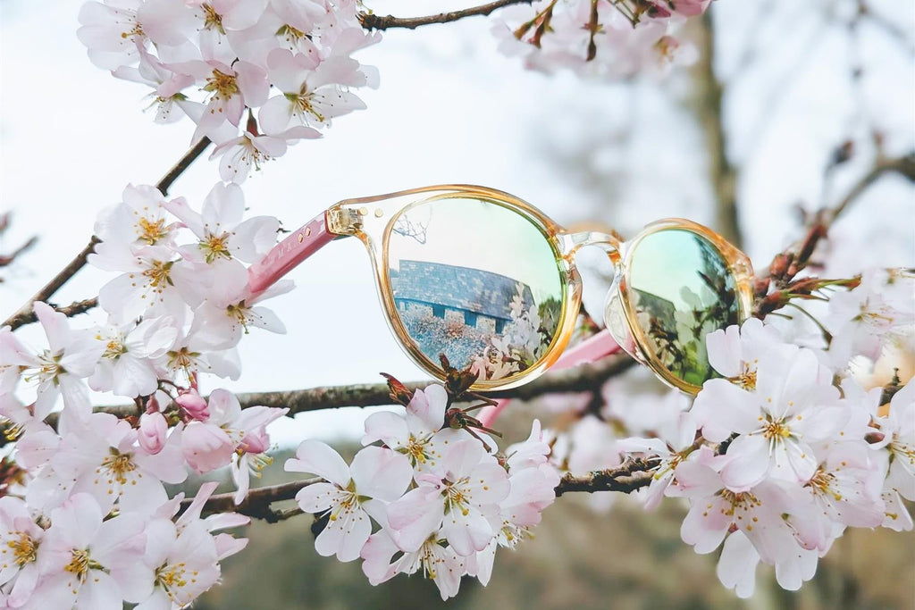 Luma Sunglasses - Fowey - Pink