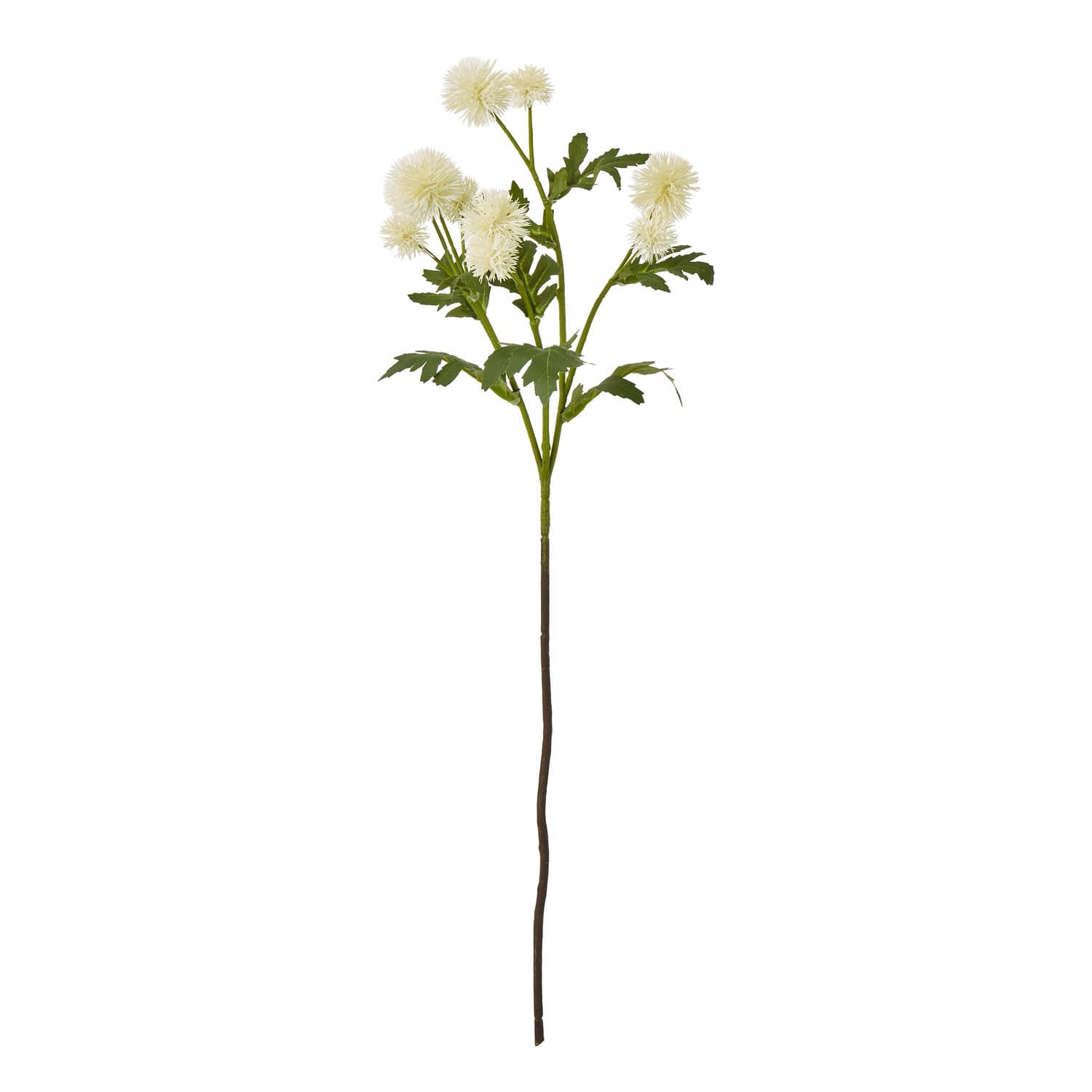 Handcrafted cream faux globe thistle spray with lifelike texture, green accents, and 56cm height for elegant home decor. by Sostter at brixbailey.com