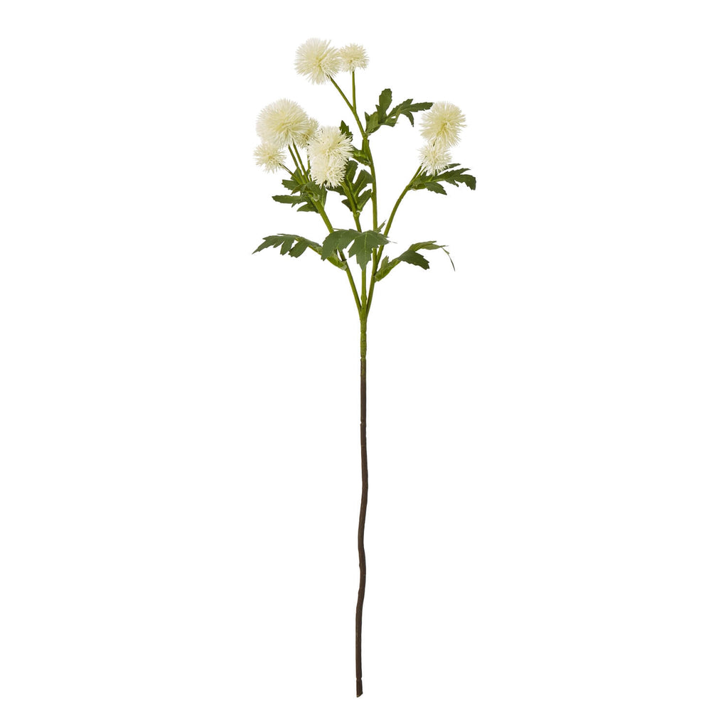 Cream faux globe thistle spray with lifelike texture and green accents, 56cm tall, for elegant home decor. by Sostter at brixbailey.com