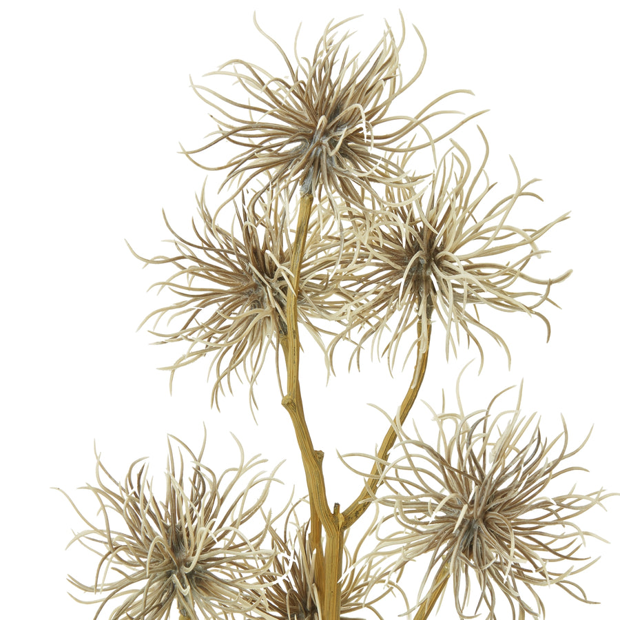 Introducing the captivating Brown Xanthium Spray - Stunning Faux Floral for Elegant Home Decor by Hill Interiors at www.brixbailey.com