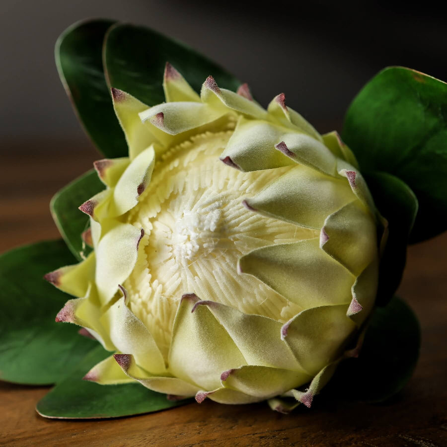 Luxury white faux protea stem, hyper-realistic handmade artificial flower for elegant home decor by Sostter at brixbailey.com