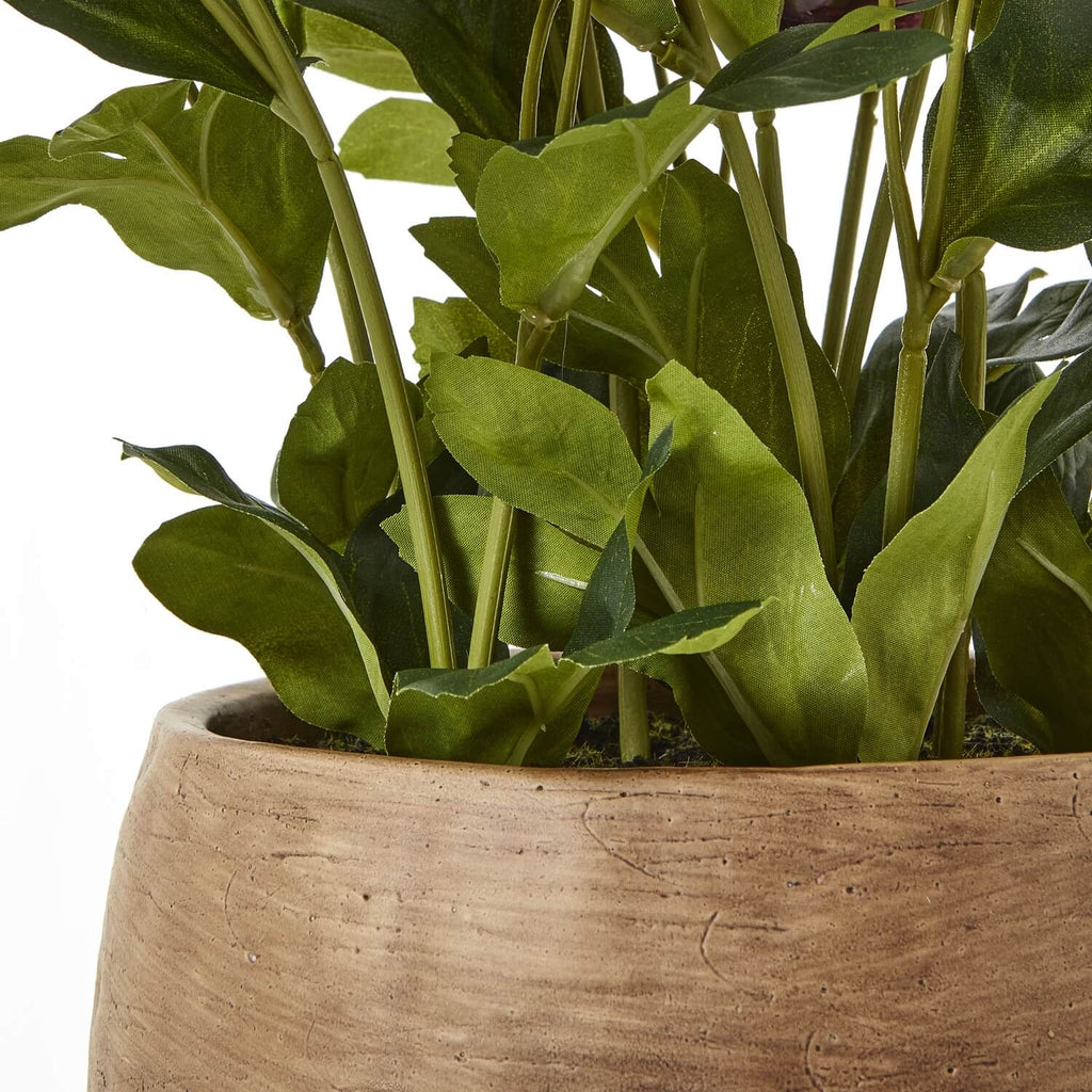 Lifelike plum hellebore faux plant in taupe ceramic pot, ultra-realistic blooms and foliage for home decor by sostter at brixbailey.com