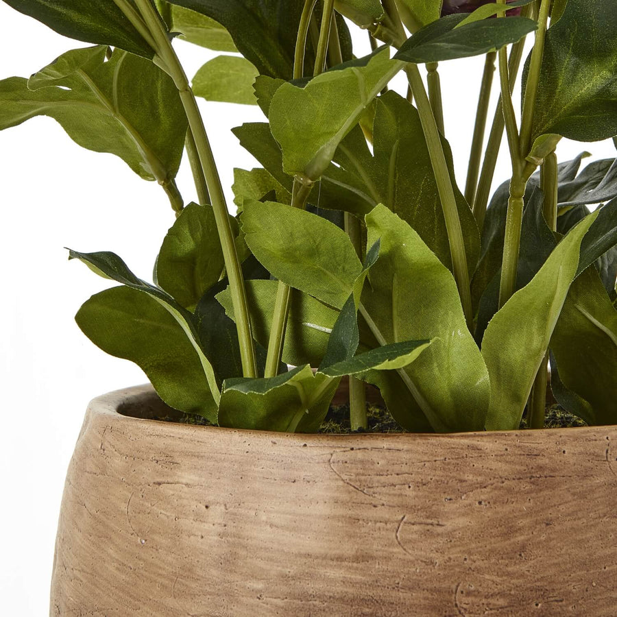 Lifelike faux plum hellebore plant in taupe ceramic pot, ultra-realistic blooms and foliage for home decor by Sostter at brixbailey.com
