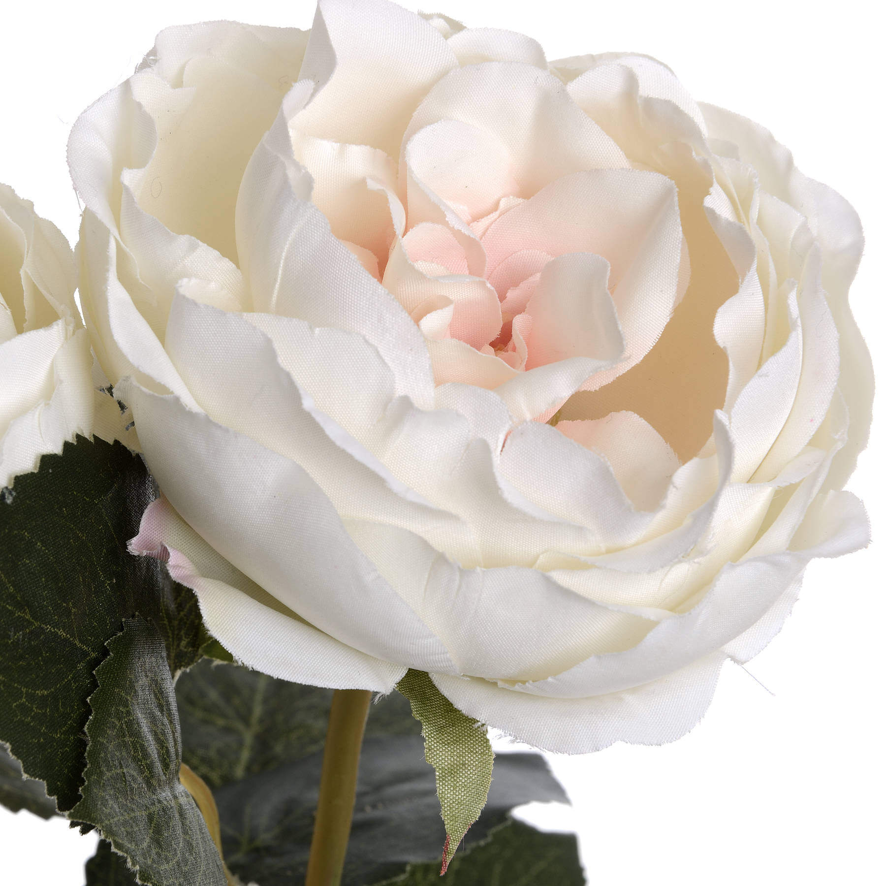 Lifelike white artificial Austin rose with blush center, realistic plastic petals and stem, 25-inch floral decor by Sostter at brixbailey.com