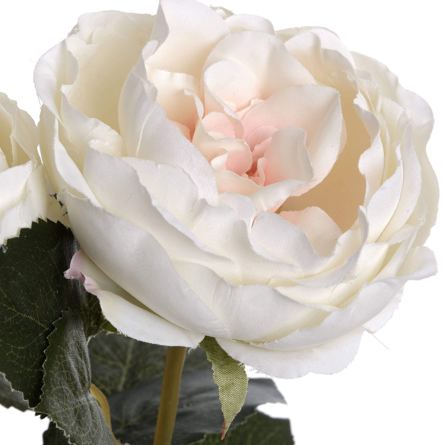 Lifelike white artificial Austin rose with blush center, realistic plastic petals and stem, 25-inch floral decor by Sostter at brixbailey.com