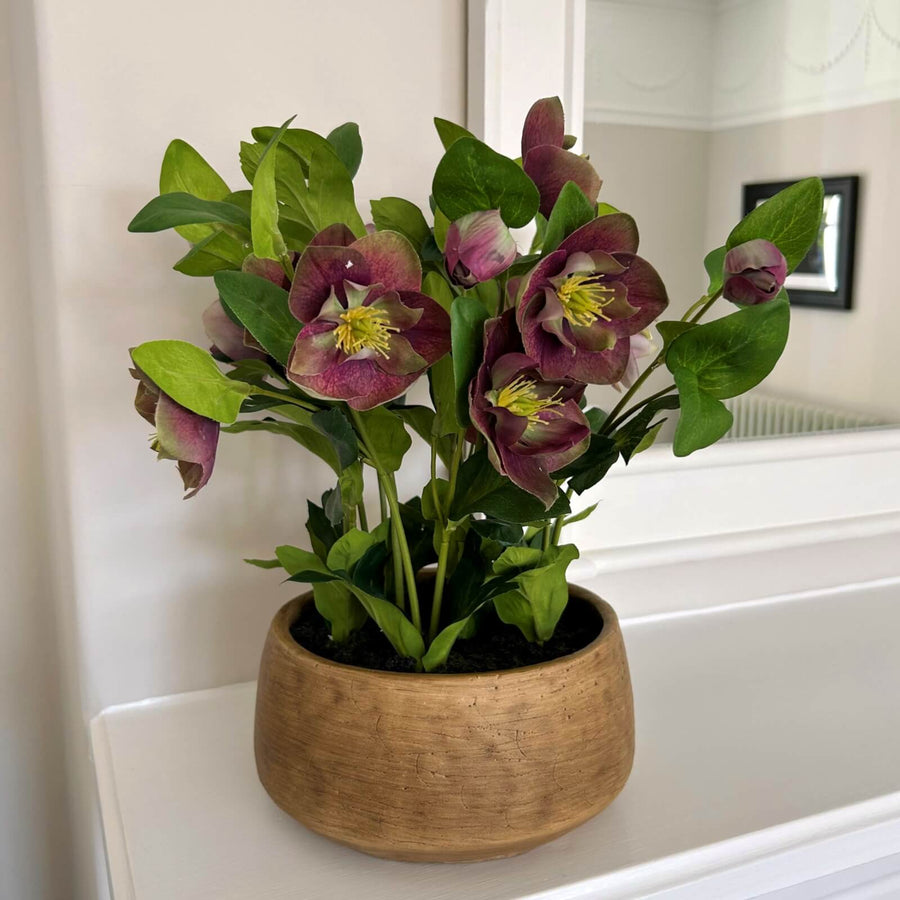 Lifelike plum faux hellebore in taupe ceramic pot, ultra-realistic blooms and foliage for home decor by Sostter at brixbailey.com