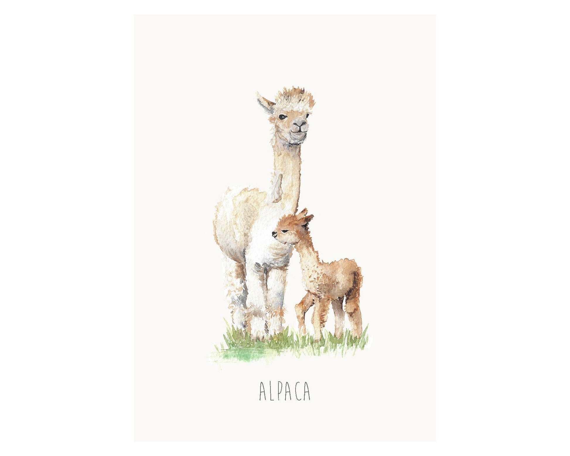 Personalised Alpaca Watercolour Art Print – Perfect for Nursery or Kids Room Decor