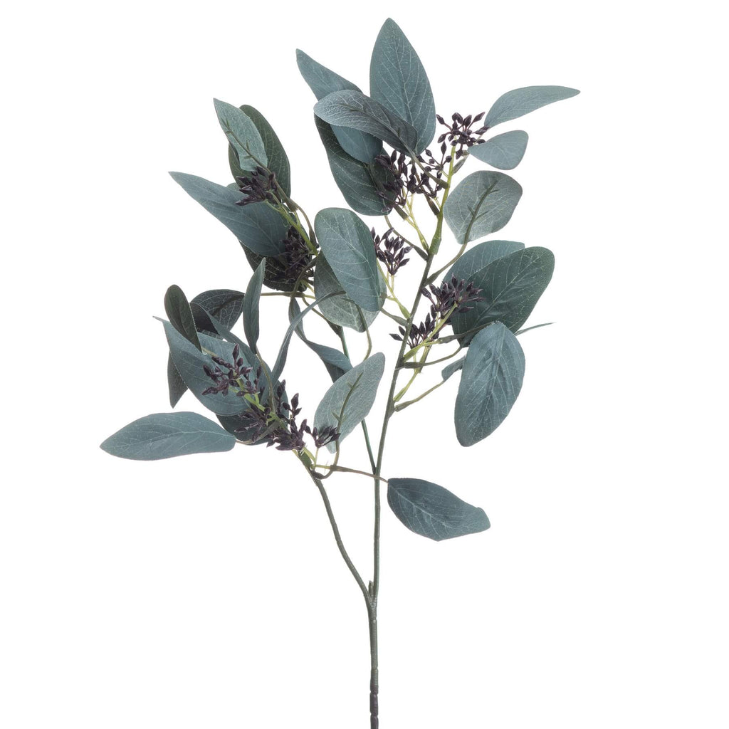 Artificial seeded eucalyptus stem with silvery-green leaves and feathery pods, 85cm tall for home decor arrangements by Sostter at brixbailey.com