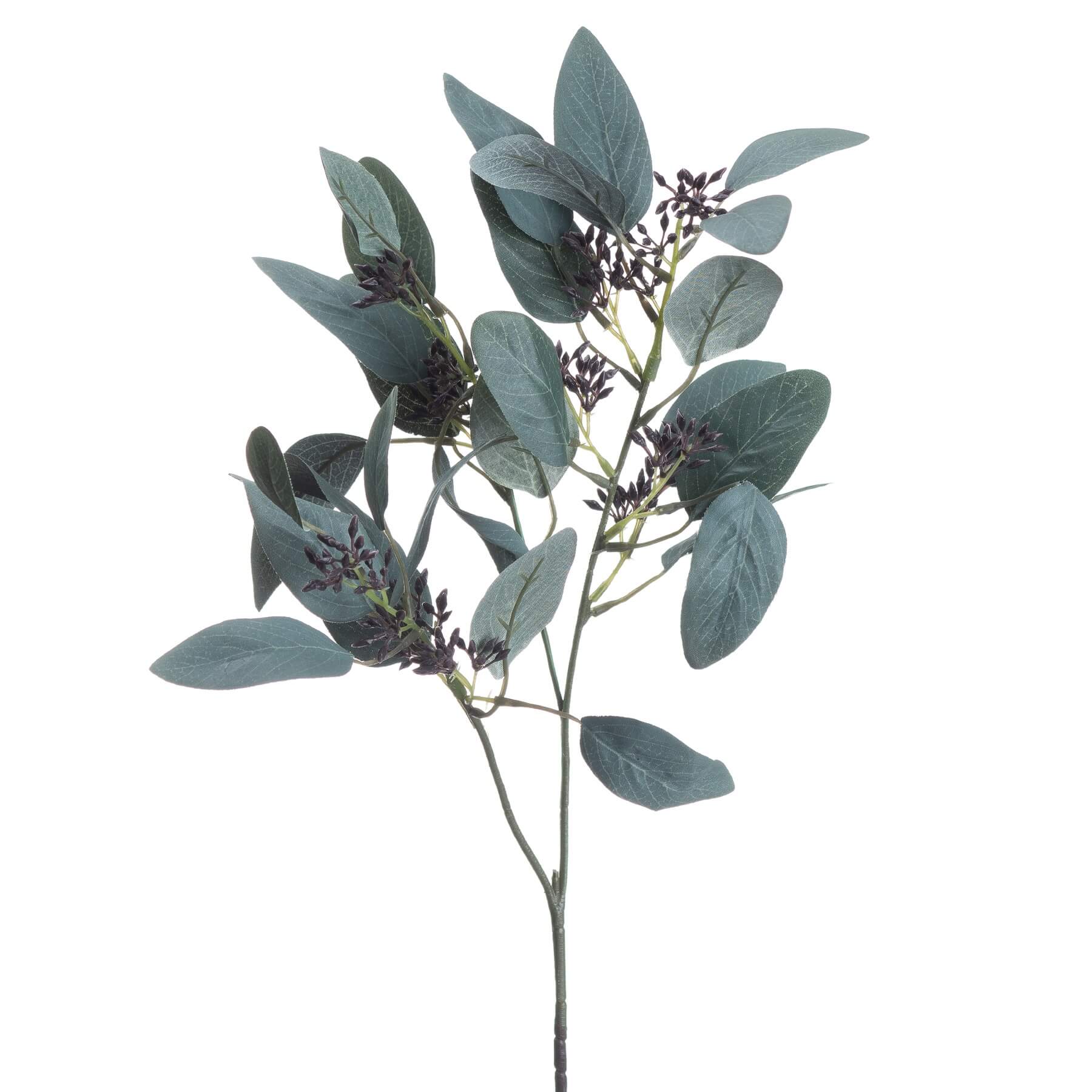 Artificial seeded eucalyptus stem with silvery-green leaves and feathery pods, 85cm tall for home decor arrangements by Sostter at brixbailey.com