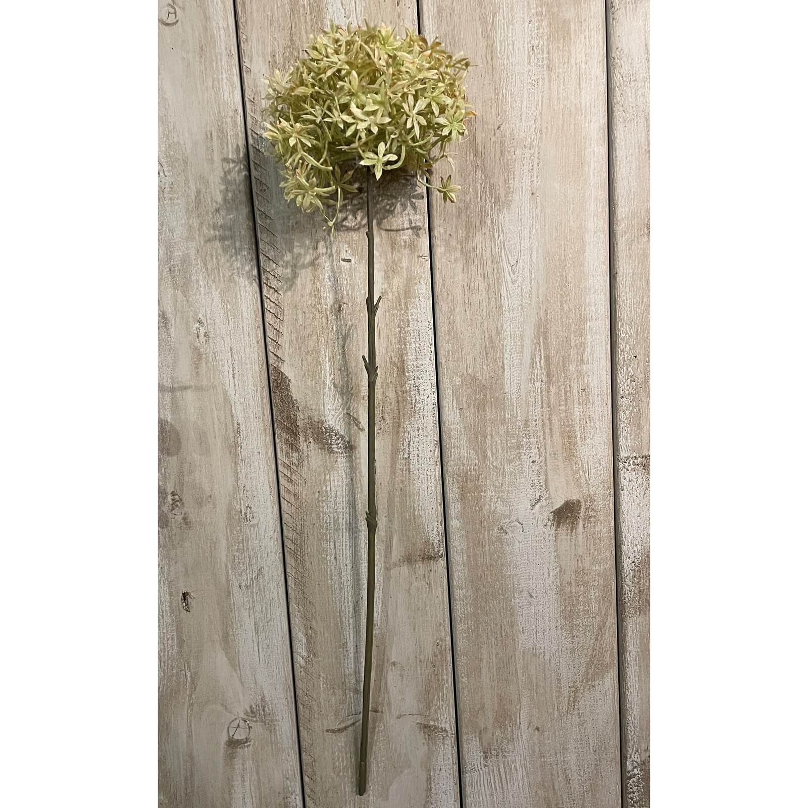 Lifelike coffee brown Allium stems, 63cm faux floral arrangement with spherical blooms for home decor by Sostter at brixbailey.com