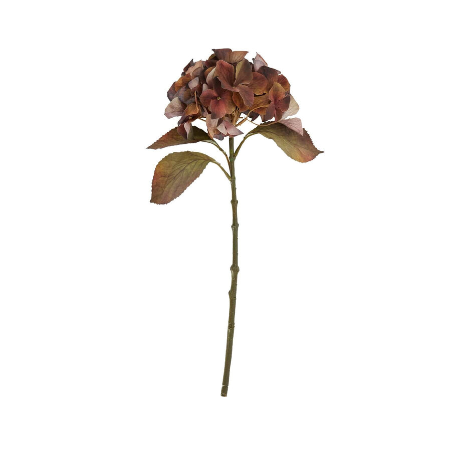 Realistic autumn hydrangea stems in rich brown and amber, 50cm tall with lifelike petals for fall decor  by Sostter at brixbailey.com