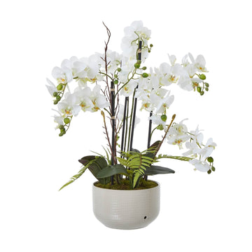 Lifelike white faux orchid in ceramic pot, lush green foliage, ultra-realistic phalaenopsis blooms, home decor accent by Sostter at brixbailey.com