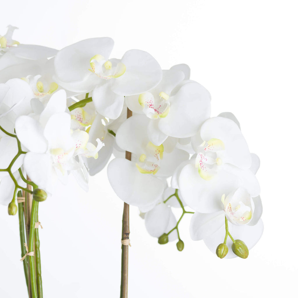 Lifelike white faux orchid in modern stone pot, 90cm tall with realistic plastic blooms, perfect for home decor centerpiece. by Sostter at brixbailey.com