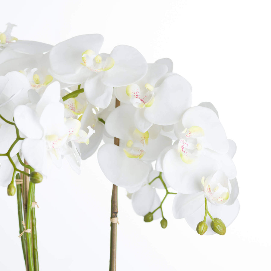 Lifelike white faux orchid in modern stone pot, 90cm tall with realistic plastic blooms, perfect for home decor centerpiece. by Sostter at brixbailey.com