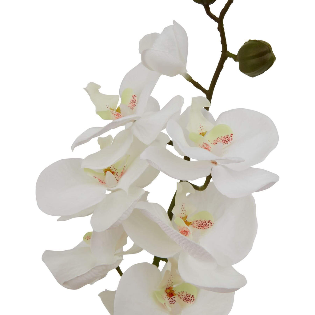 Lifelike white butterfly orchid artificial stem, 75cm tall, with realistic petals and veining for elegant home decor by Sostter at brixbailey.com