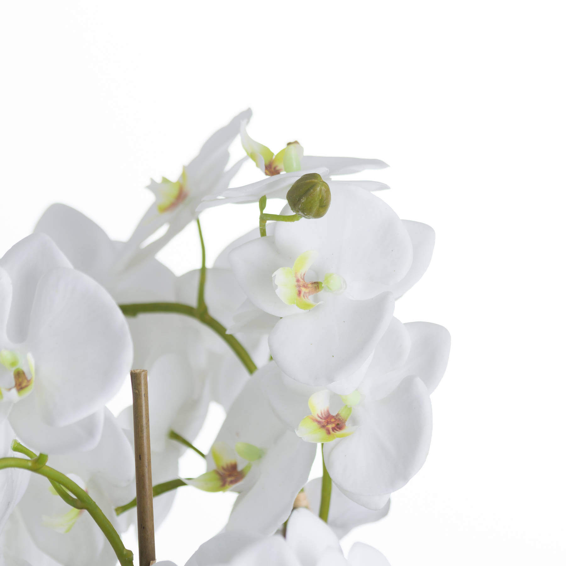 Lifelike white orchid arrangement with bamboo supports, exposed roots, and lush ferns in a rustic base for elegant home decor. by Sostter at brixbailey.com