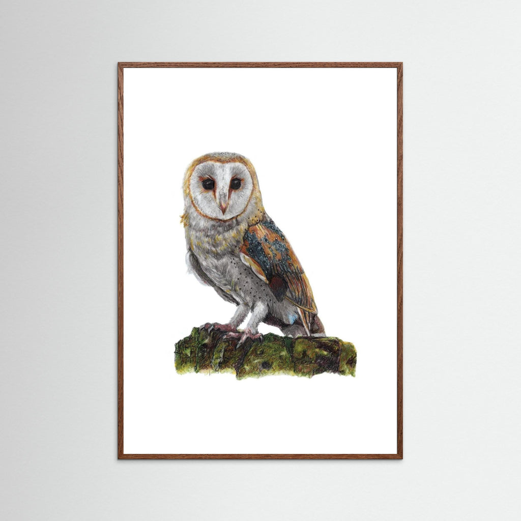Barn Owl Art Print Wildlife Wall Art for Nature Lovers
