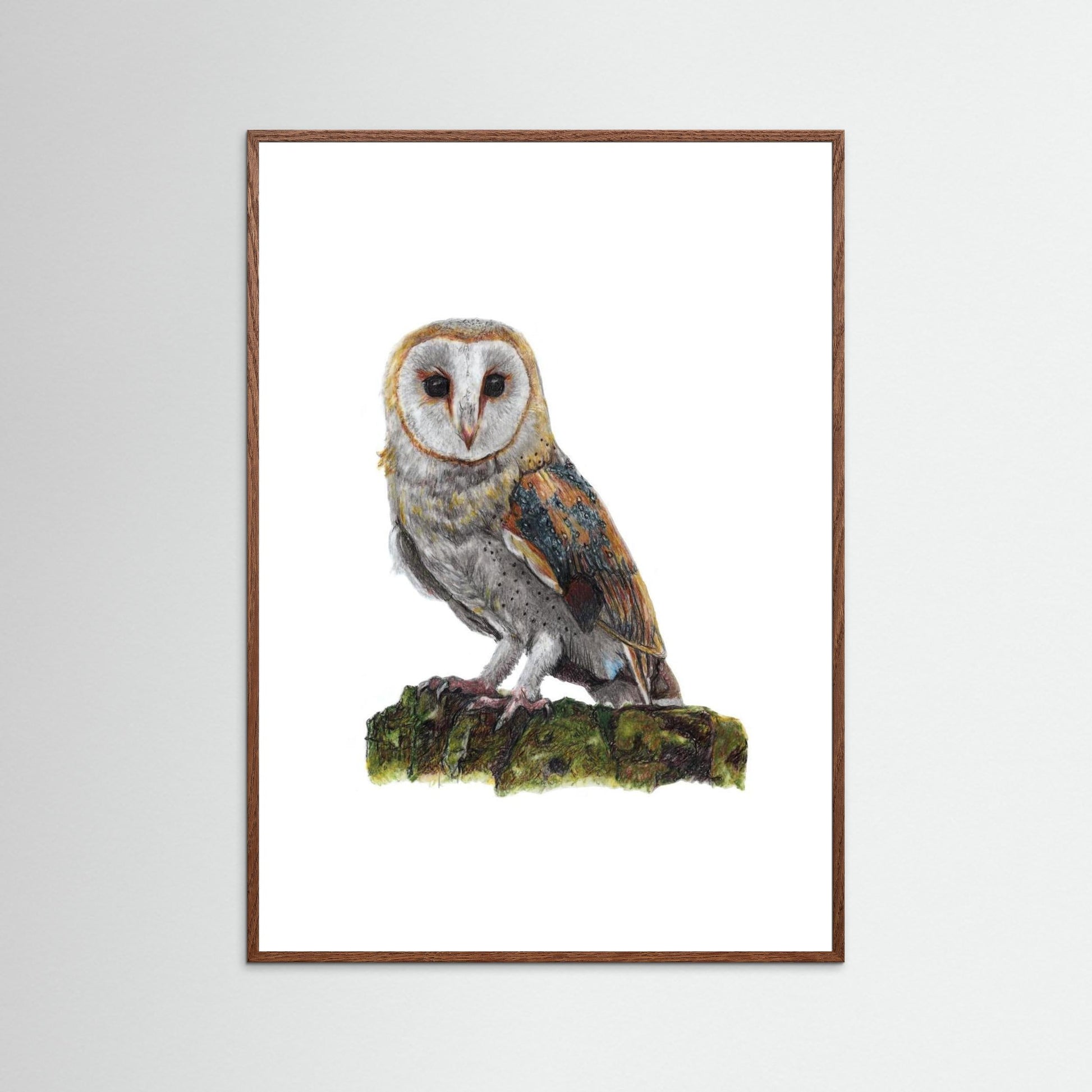 Barn Owl Art Print Wildlife Wall Art for Nature Lovers