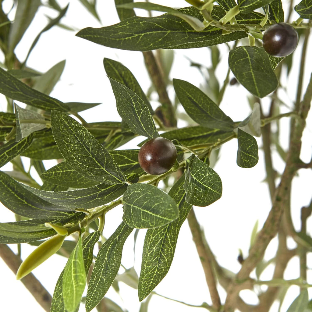 240cm artificial Apulia olive tree with silvery-green leaves, gnarled trunk, and realistic olives in white pot by Sostter at brixbailey.com