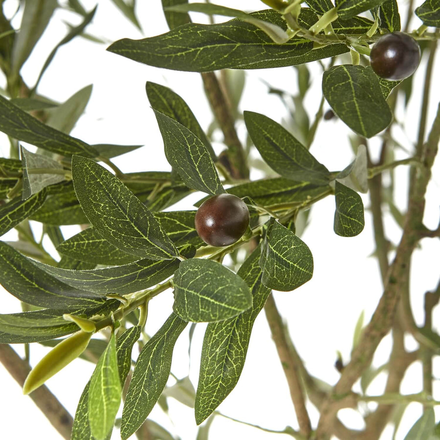 240cm artificial Apulia olive tree with silvery-green leaves, gnarled trunk, and realistic olives in white pot by Sostter at brixbailey.com