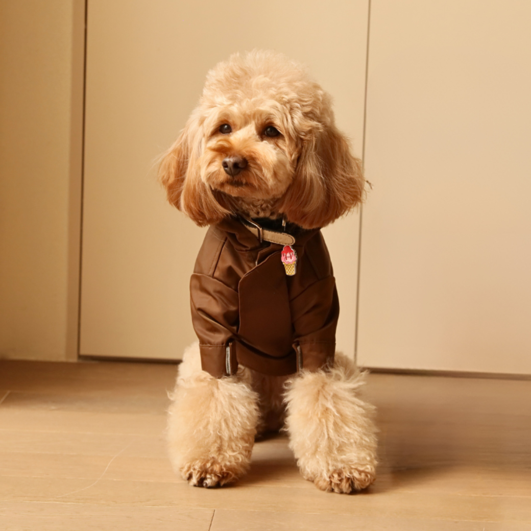 Tribeca Adjustable Velcro Raincoat in Chocolate