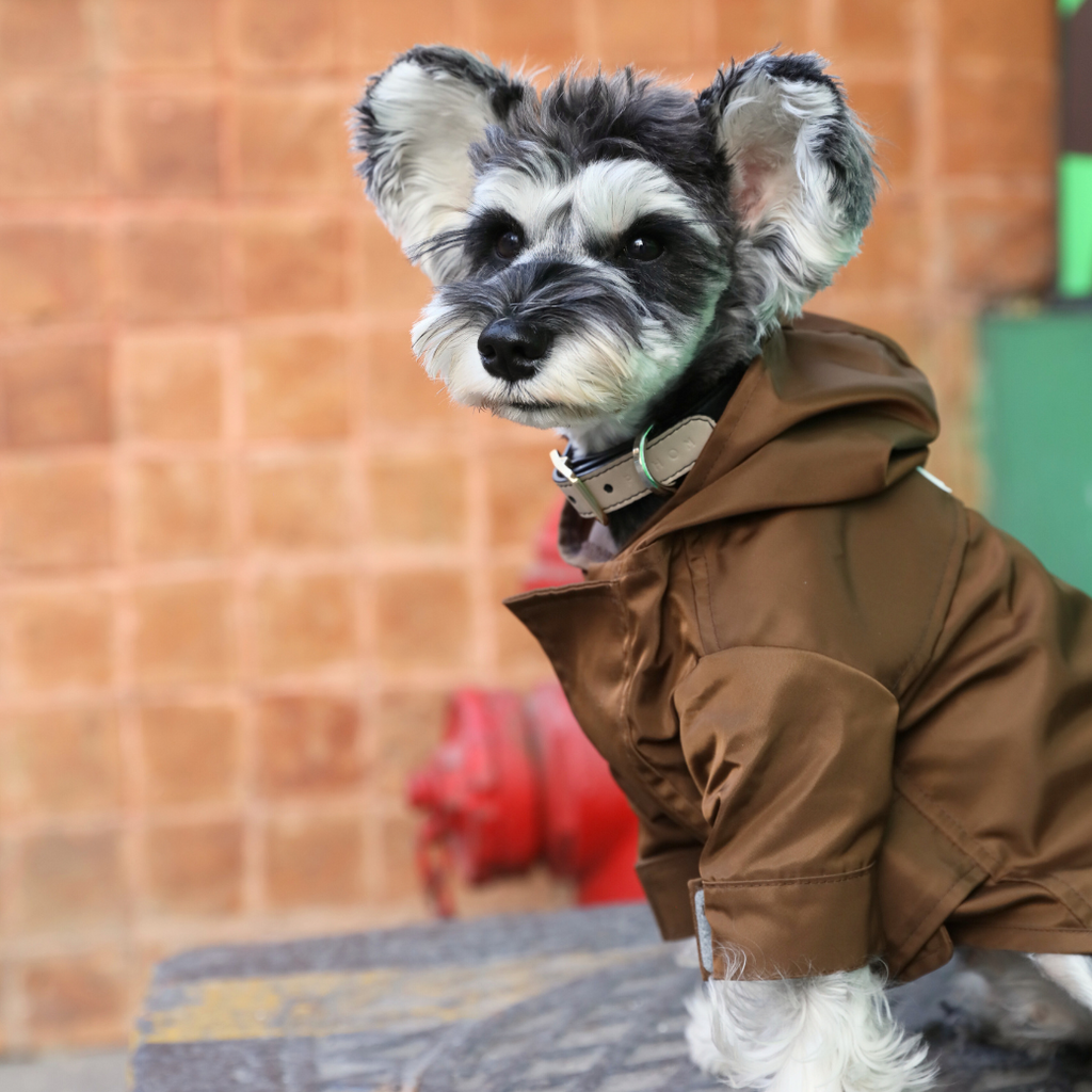 Tribeca Adjustable Velcro Raincoat in Chocolate