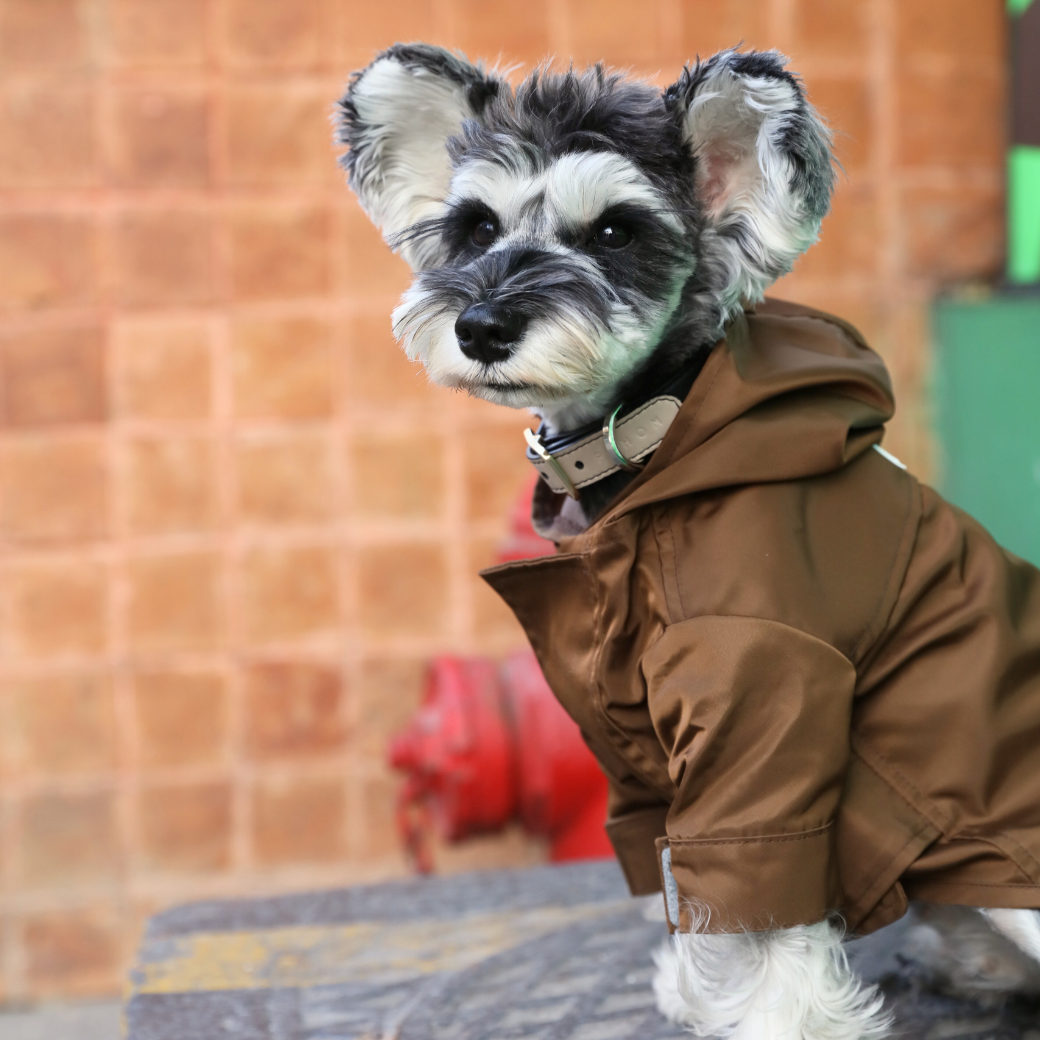 Tribeca Adjustable Velcro Raincoat in Chocolate