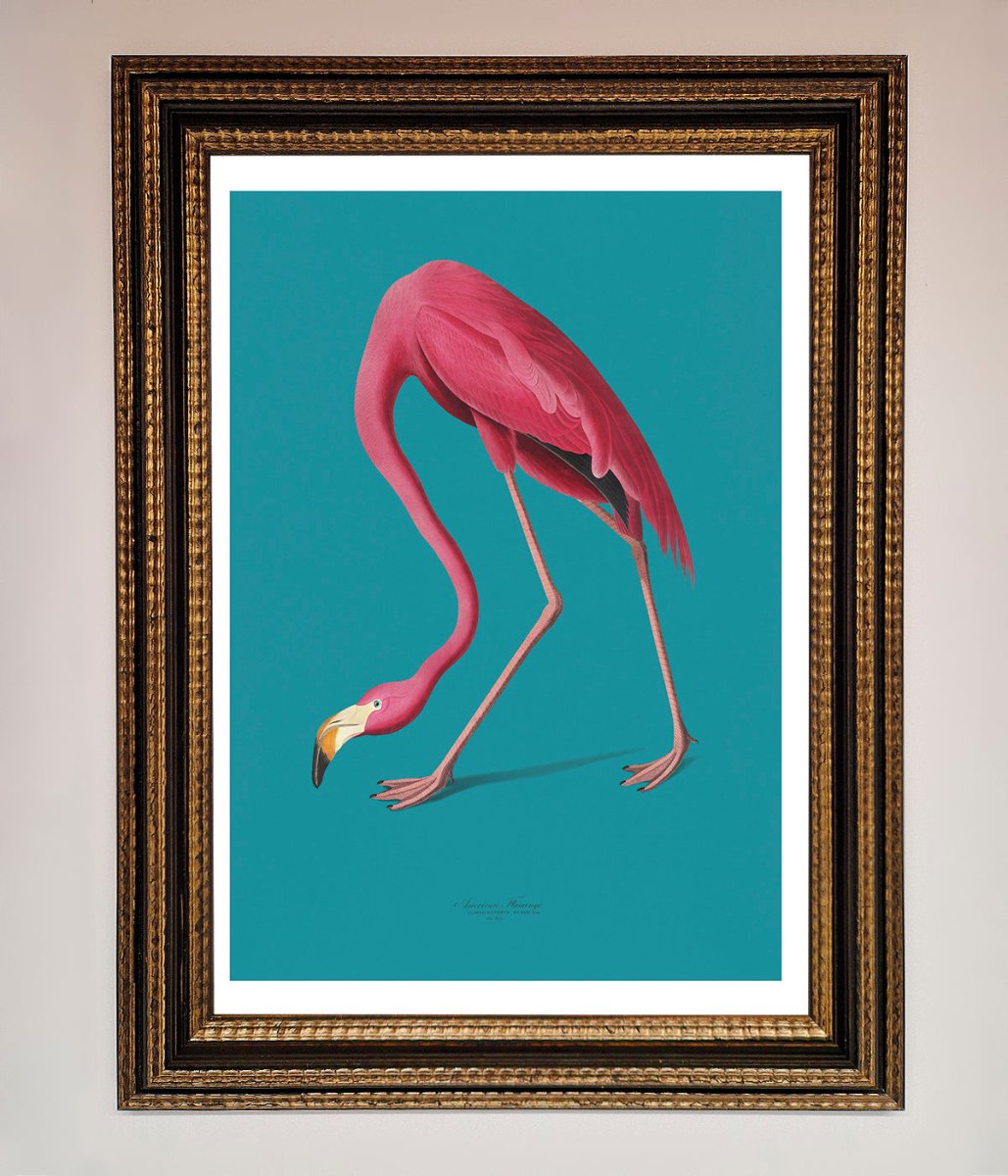 Flamingo Walks Blue Framed Print