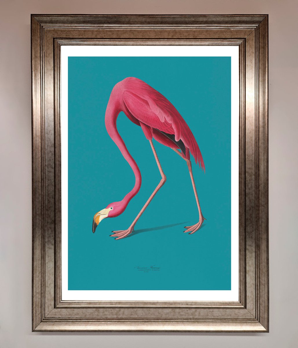 Flamingo Walks Blue Framed Print