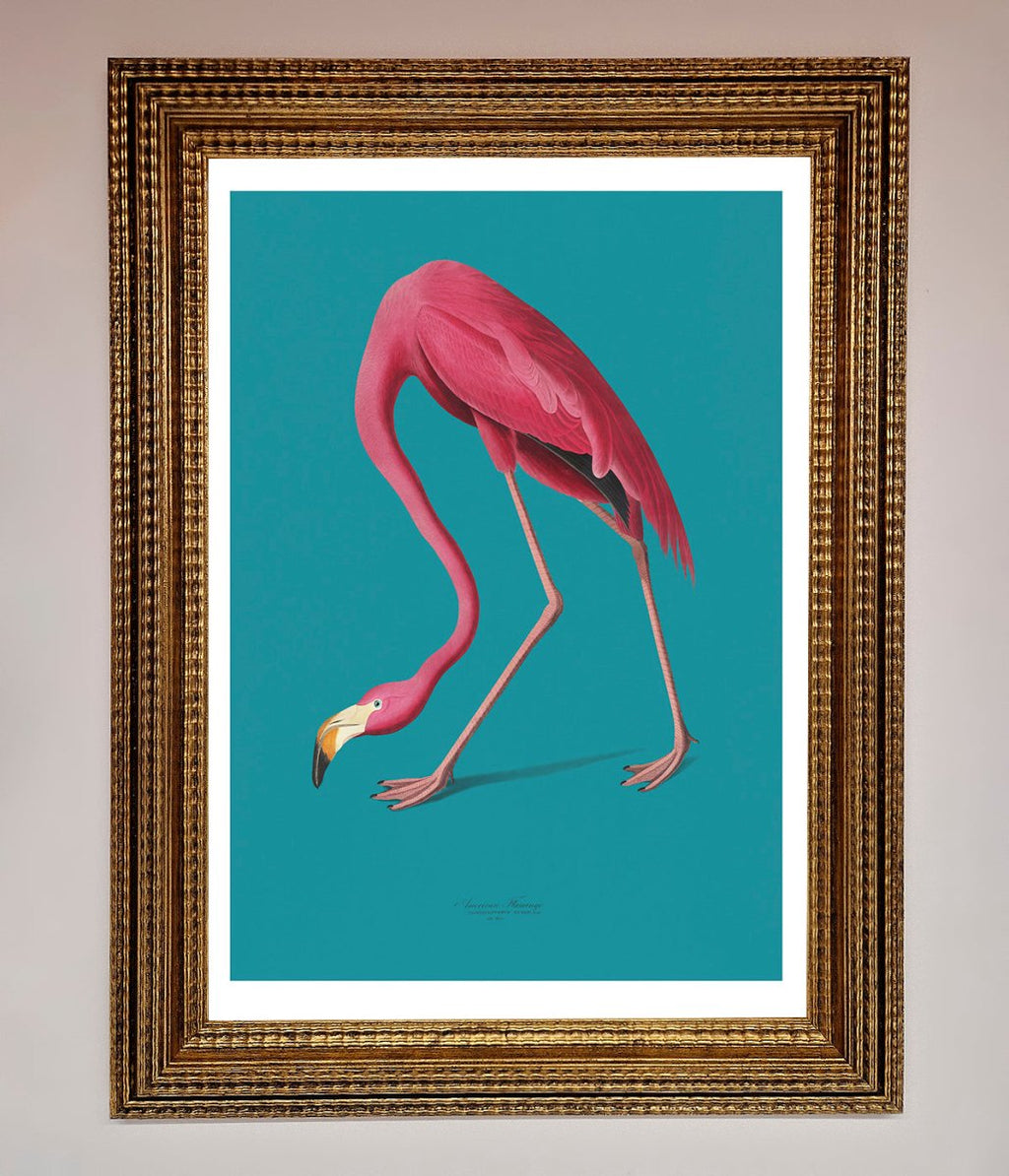 Flamingo Walks Blue Framed Print