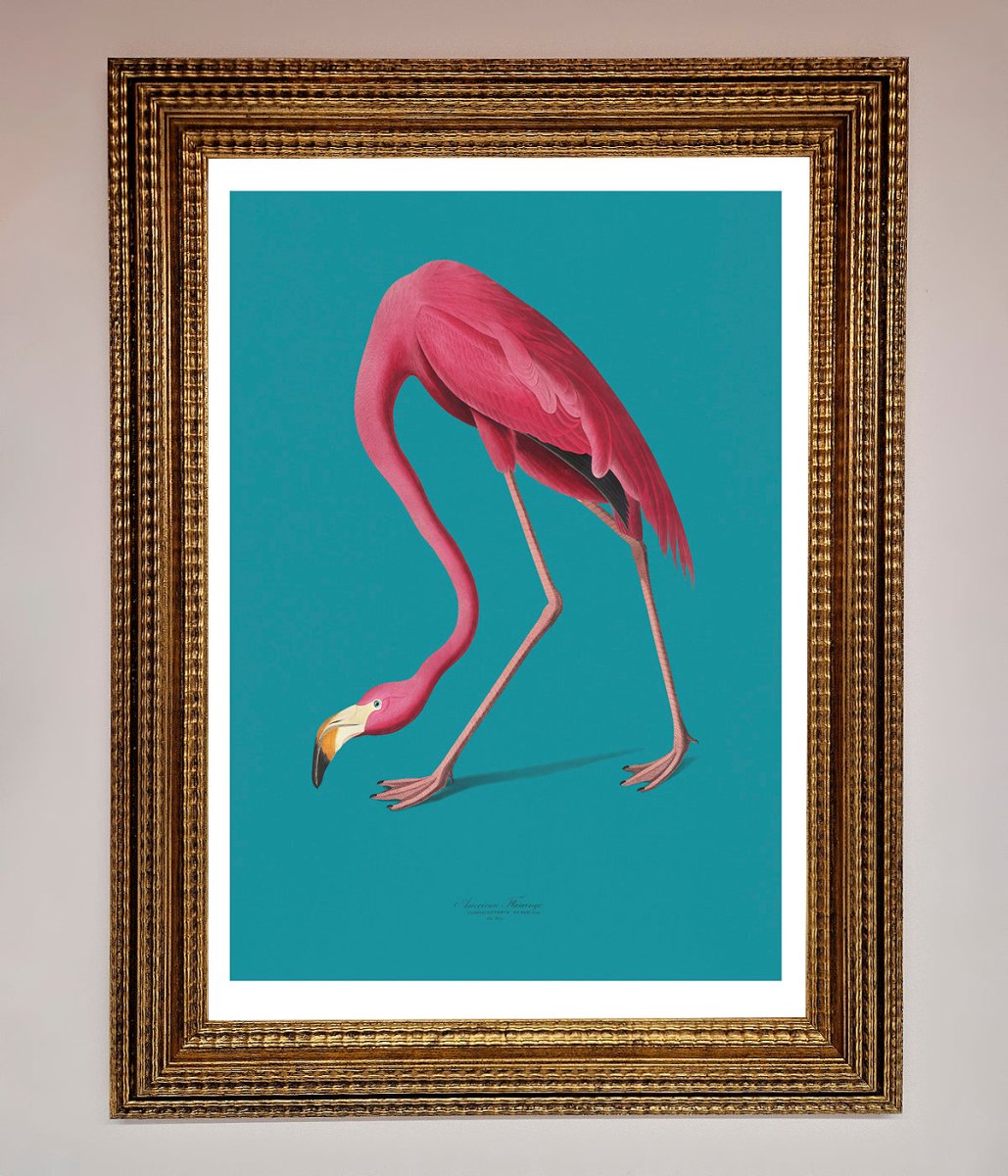 Flamingo Walks Blue Framed Print