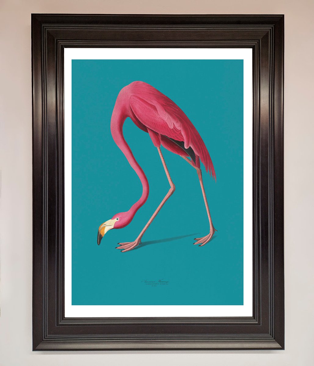 Flamingo Walks Blue Framed Print