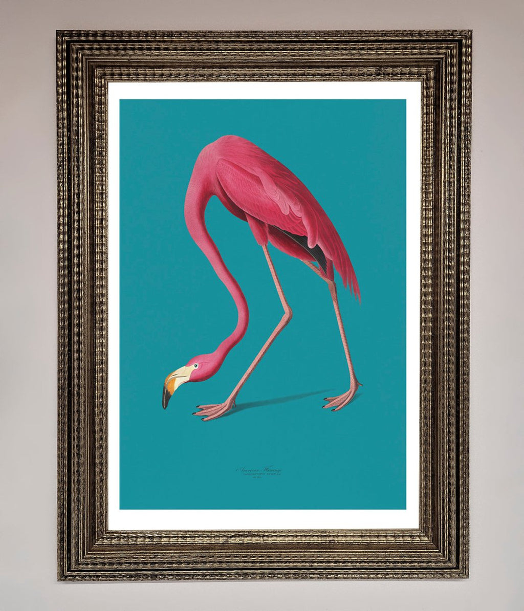 Flamingo Walks Blue Framed Print