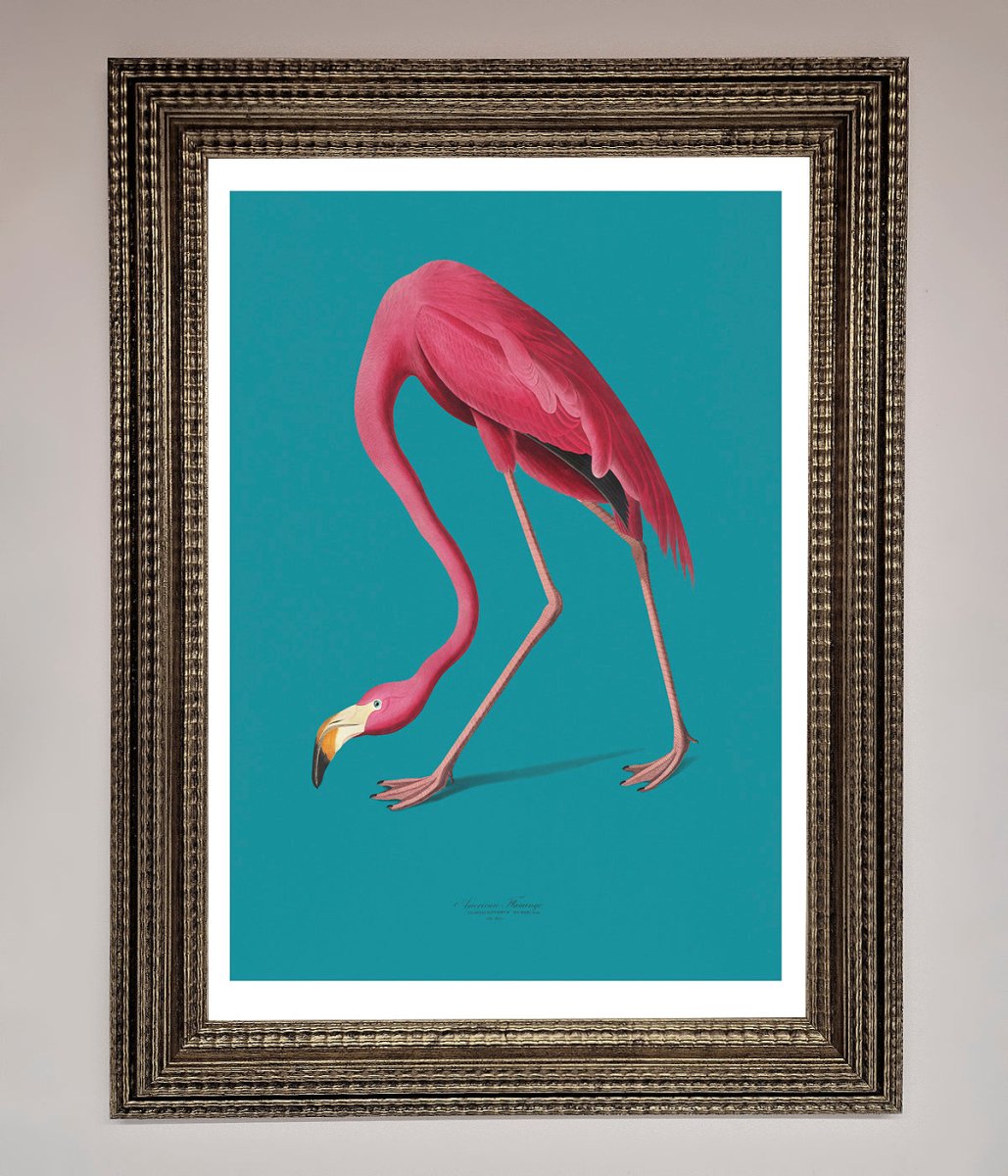 Flamingo Walks Blue Framed Print