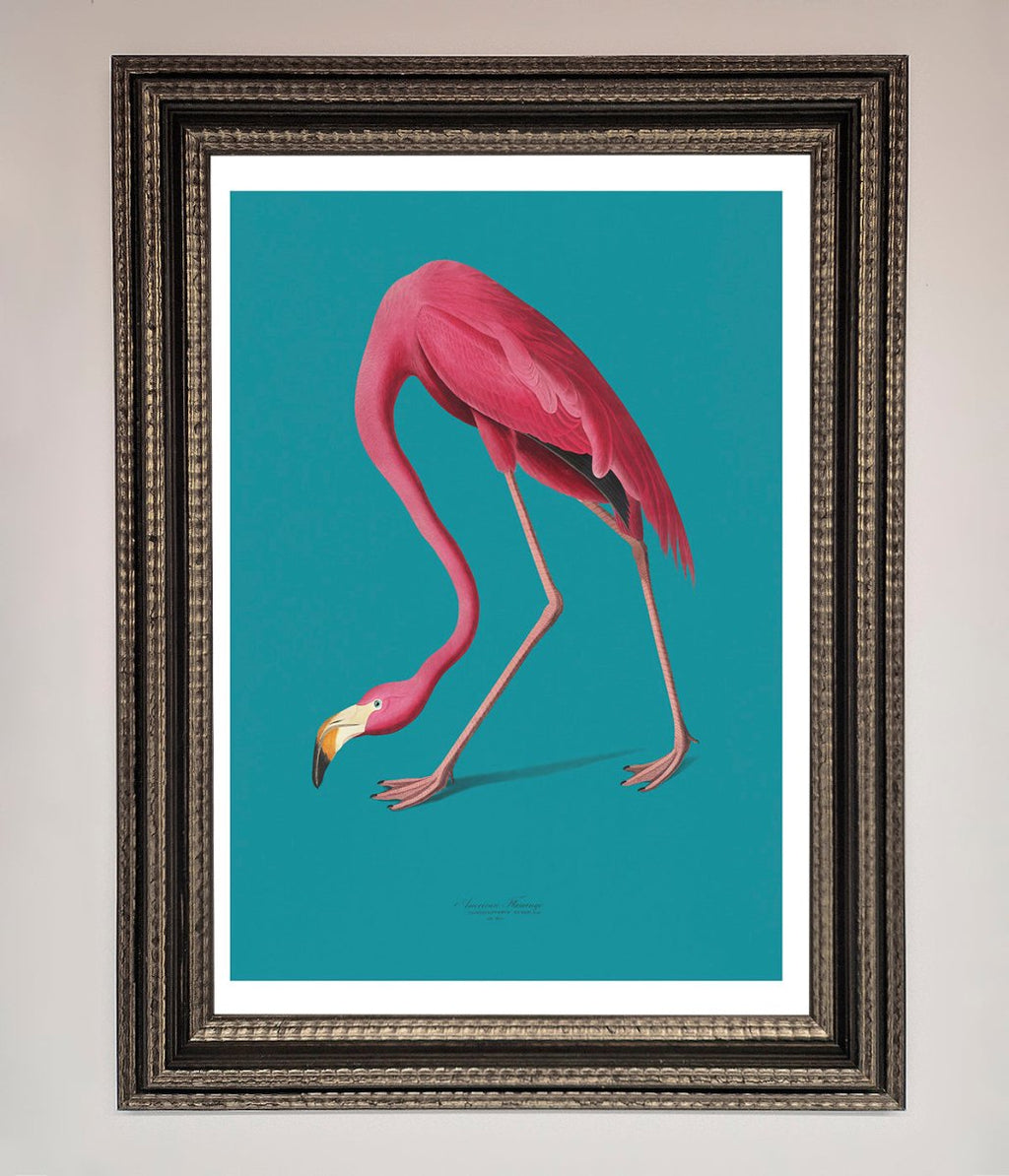 Flamingo Walks Blue Framed Print