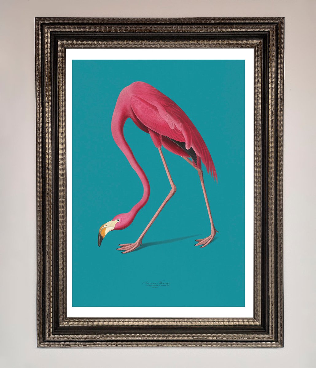 Flamingo Walks Blue Framed Print