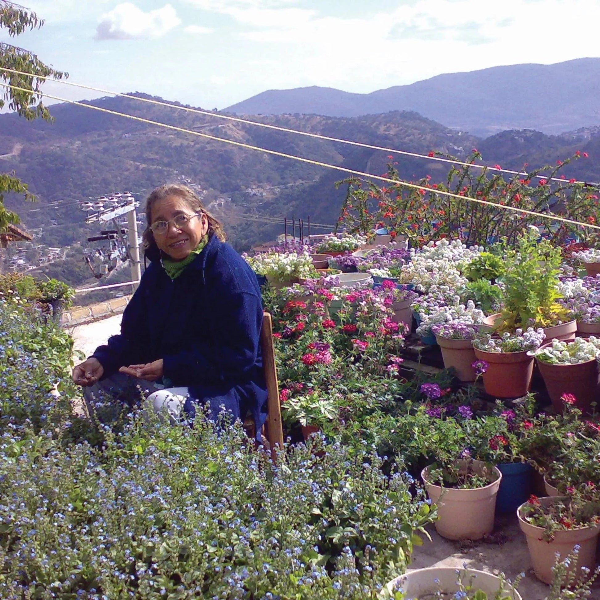 Gold Plated Sterling Silver Flower Bracelet with Real Daisy Poppy Sunflower