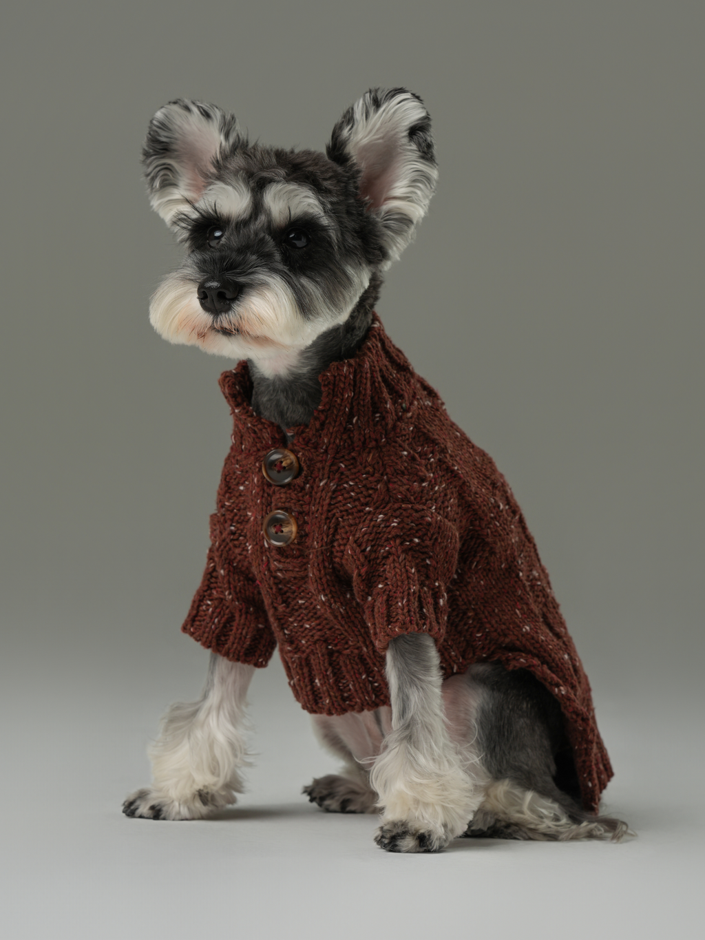 Glacier Pet Sweater in Burgundy