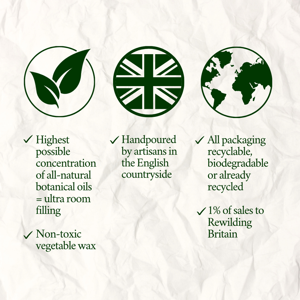 Golden Orange, Cinnamon & Frankincense Three-Wick Scented Candle