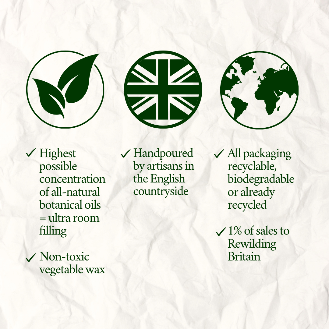 Golden Orange, Cinnamon & Frankincense Three-Wick Scented Candle